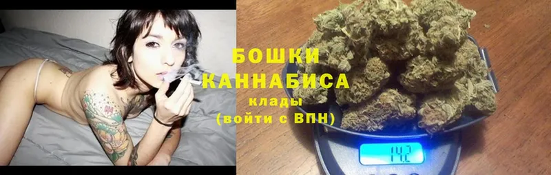 где можно купить наркотик  Бодайбо  Канабис OG Kush 